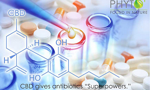 CBD gives antibiotics “Superpowers.”