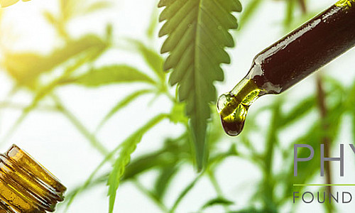 What is the effect of CBD?