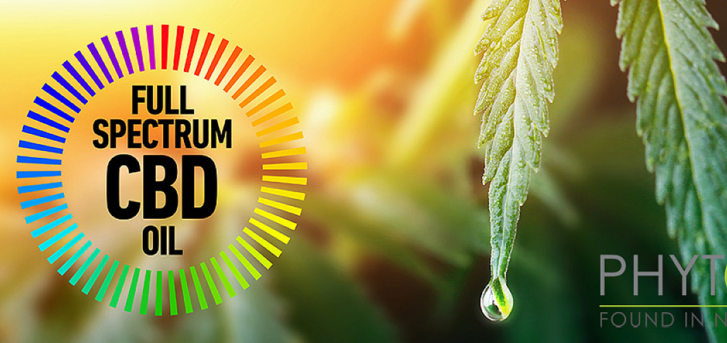 What is Full spectrum CBD oil? What is Full spectrum CBD oil?