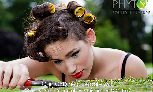 Can CBD help people with obsessive-compulsive disorder (OCD)?