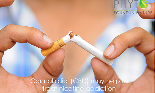 Cannabidiol (CBD) may help to treat nicotine addiction