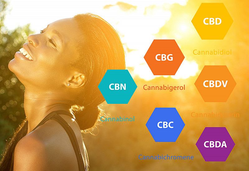 Full spectrum Cannabinoids hemp oil