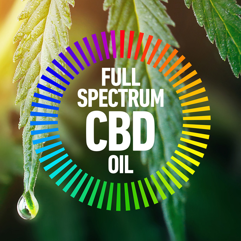 Full Spectrum CBD Hemp Oil