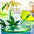 L'effet des cannabinoïdes